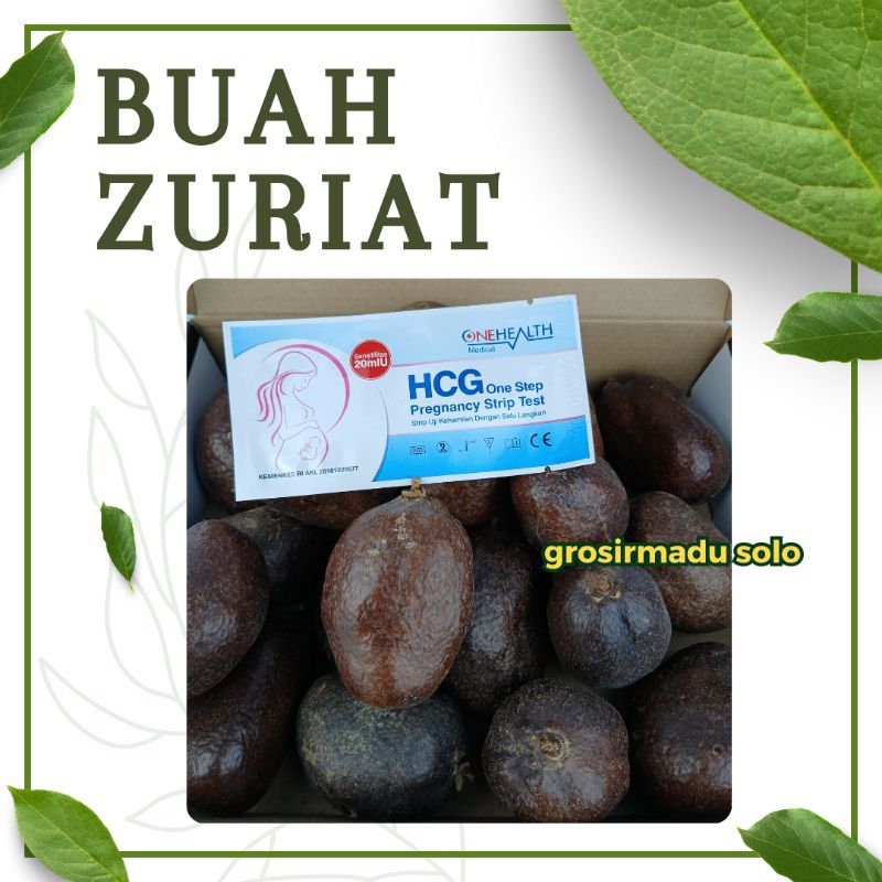 

BUAH ZURIAT MADINAH/FREE TESPEK/BERAT 1KG/BUAH PROMIL