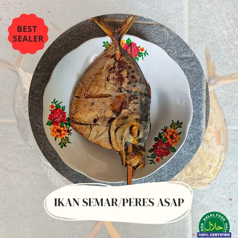

IKAN SEMAR/PERES ASAP 1PCS TERMURAH KUALITAS TERBAIK