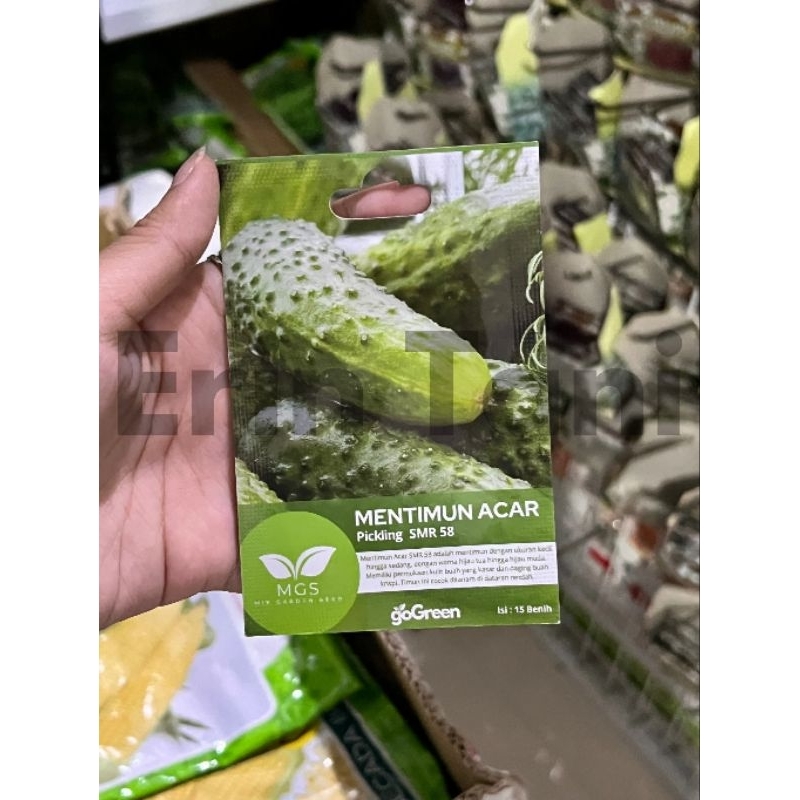 Benih timun acar Pickling SMR 58 15butir benih ketimun acar benih mentimun acar dari MGS