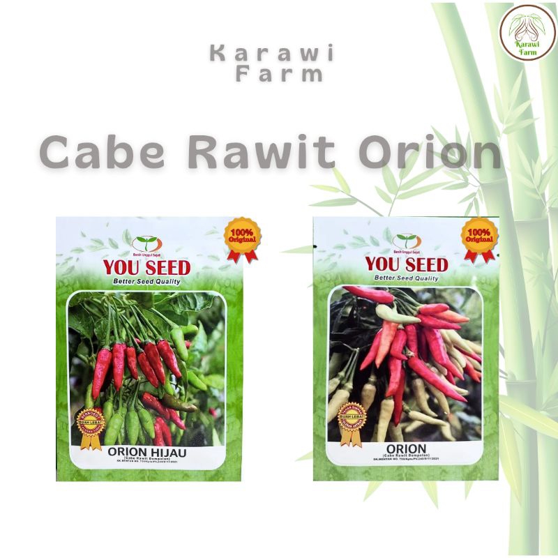 Benih Cabe Rawit Dompolan Orion Putih dan Orion Hijau Bibit You Seed