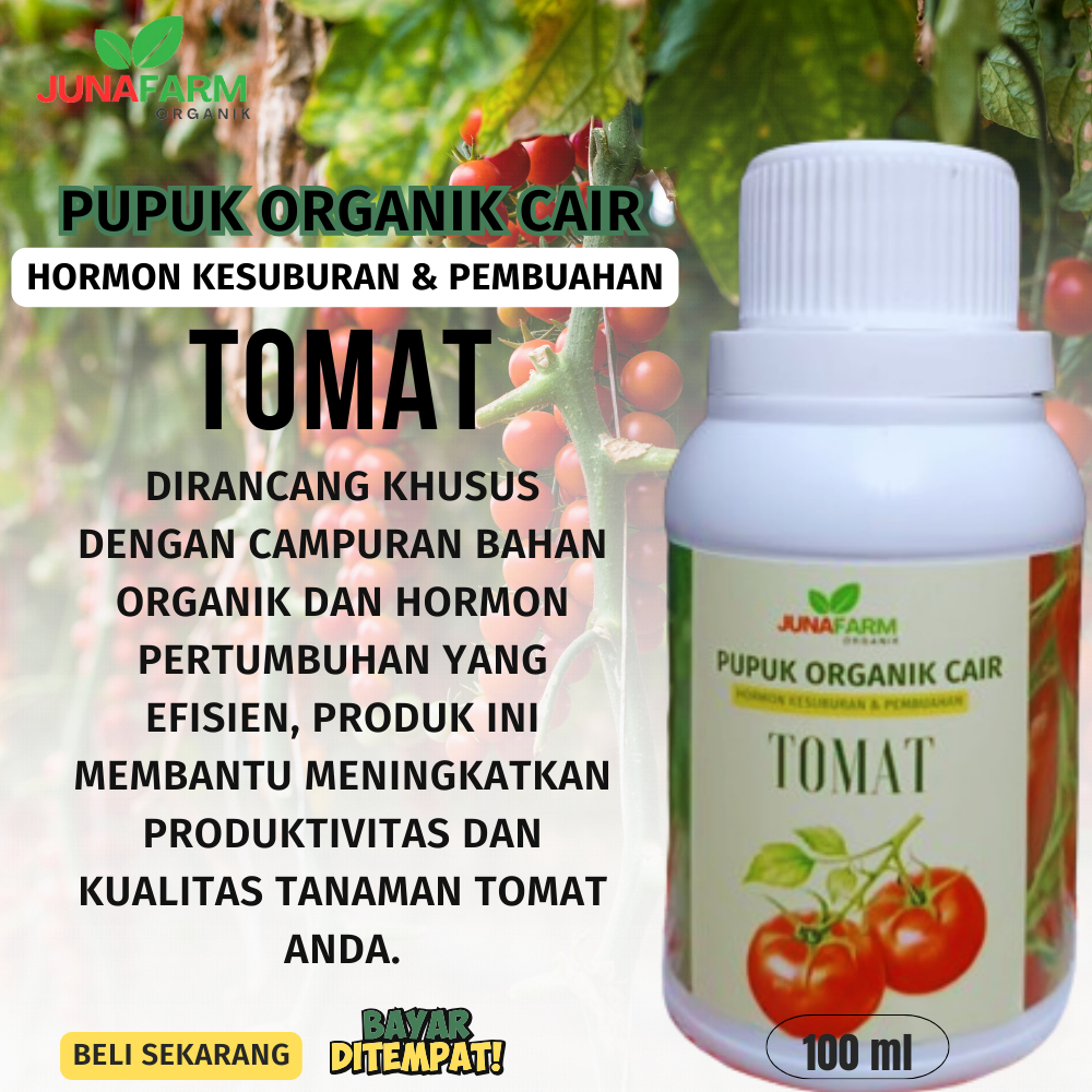 pupuk tomat/pupuk untuk tomat/pupuk tanaman tomat/pupuk organik tomat