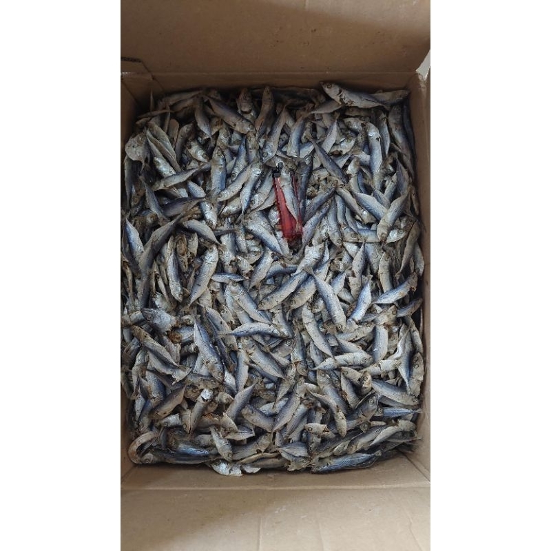 

Kembung rebus 60rb/kg (1000gram)