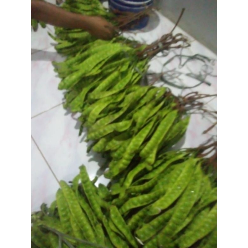 

Pete 12rb 3 papan