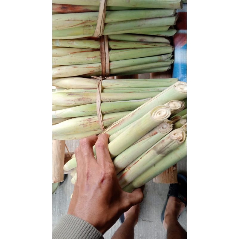 

Terubuk telur tebu turubuk endog 1kg