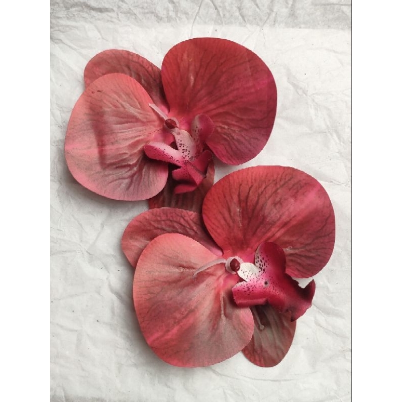 Kelopak Bunga Anggrek Latex  Kepala Bunga Anggrek Latex Anggrek Kuntum Latex