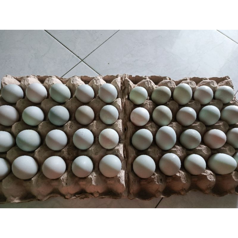 

telur asin masir 10 butir