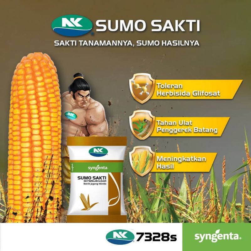 Benih Jagung Sumo Sakti kemasan 1 kg