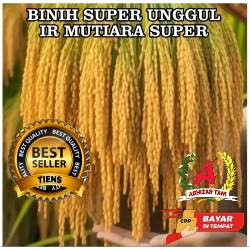 BENIH PADI IR MUTIARA SUPER KEMASAN 1KG