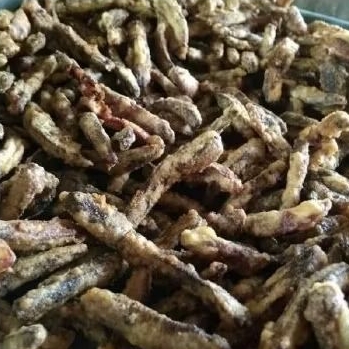 

sale pisang jari sale pisang jari kering 200gr