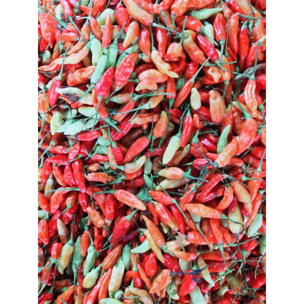 

KIRIM INSTAN Cabe Rawit Merah 100gr Sayur Express