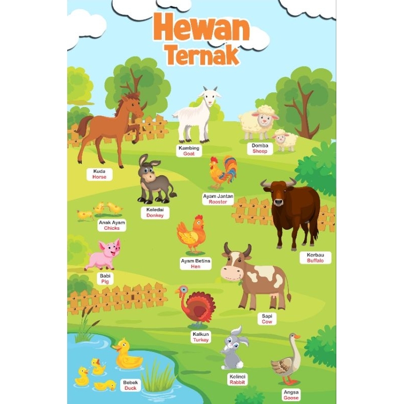 Cetak Poster Edukasi Nama Hewan Murah