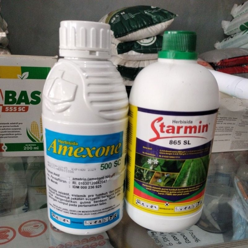 PAKET STARMIN DAN AMEXONE