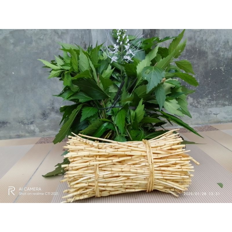 

paket hemat 500 gram atasi batu ginjal akar alang alang segar plus daun kumis kucing segar asli produk rk herbal shop