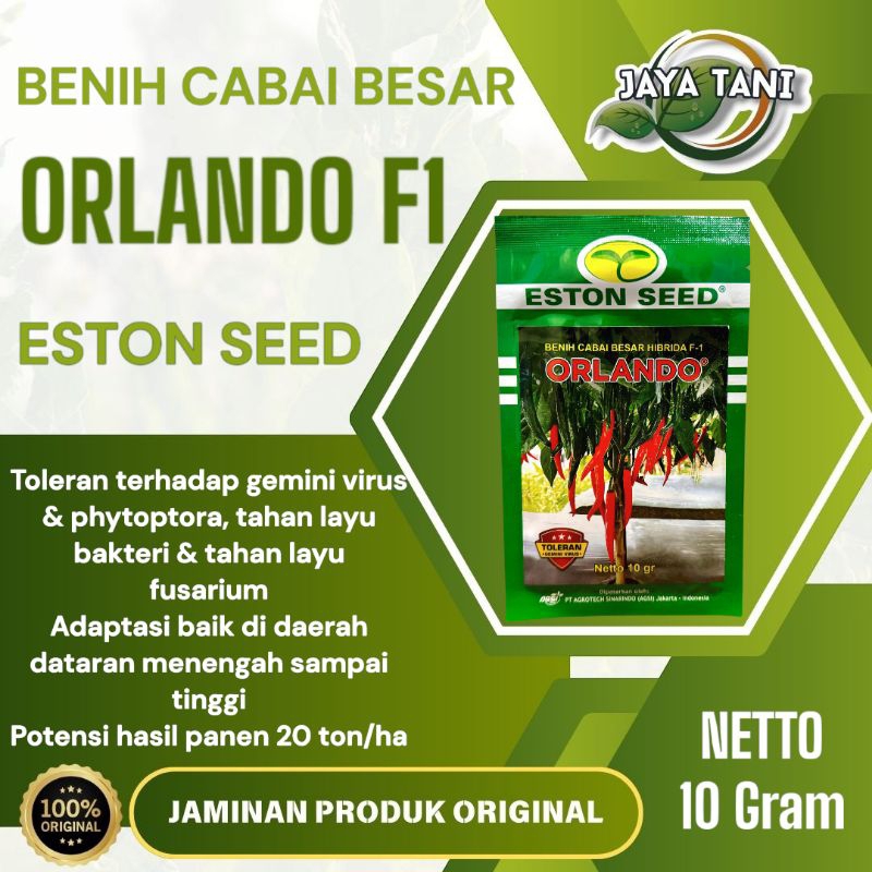 Benih Cabai Besar Hibrida F1 ORLANDO 10gram - Eston Seed