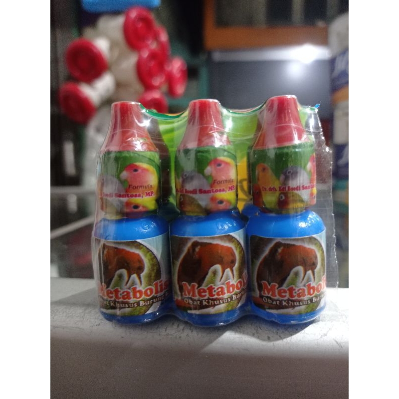 METABOLISME ORIGINAL OBAT KUSUS BURUNG BERKICAI