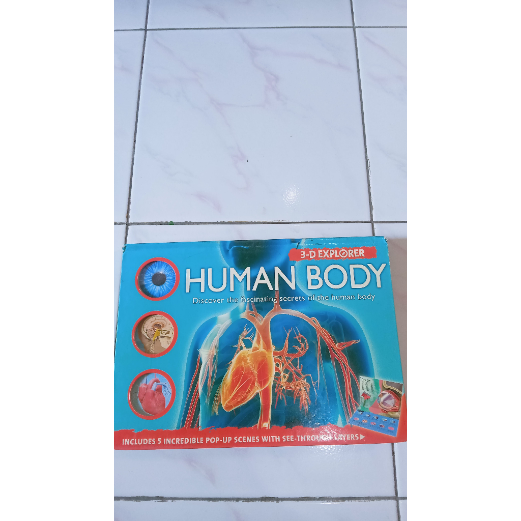 3-D Explorer Human Body - Pop-Up Book