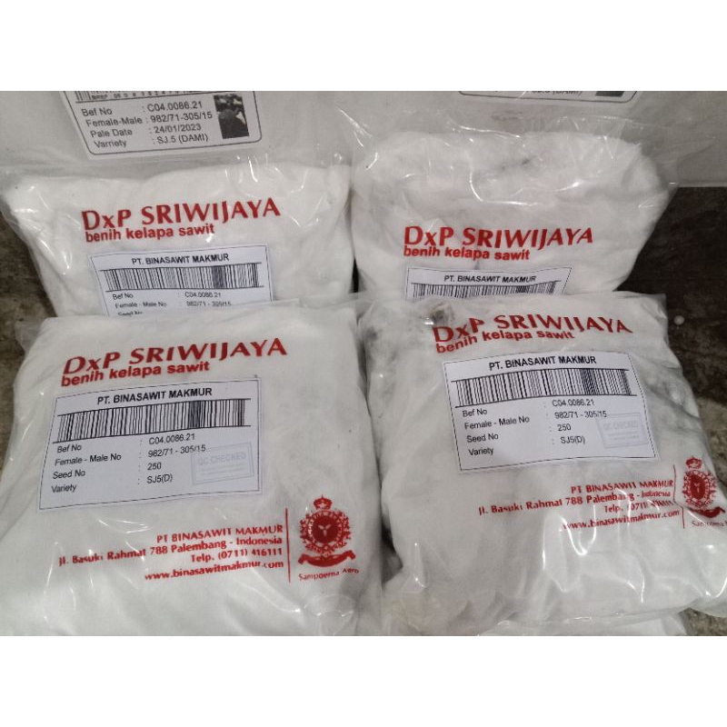 BENIH KECAMBAH SAWIT SRIWIJAYA CAP SJ5 1 KOTAK ISI 250 BUTIR