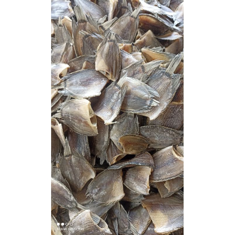 

ikan sepat / tembakang kecil murah dan berkualitas
