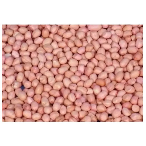 

Kacang Tanah Mentah/ Kacang Tanah Kupas harga per 500 gram