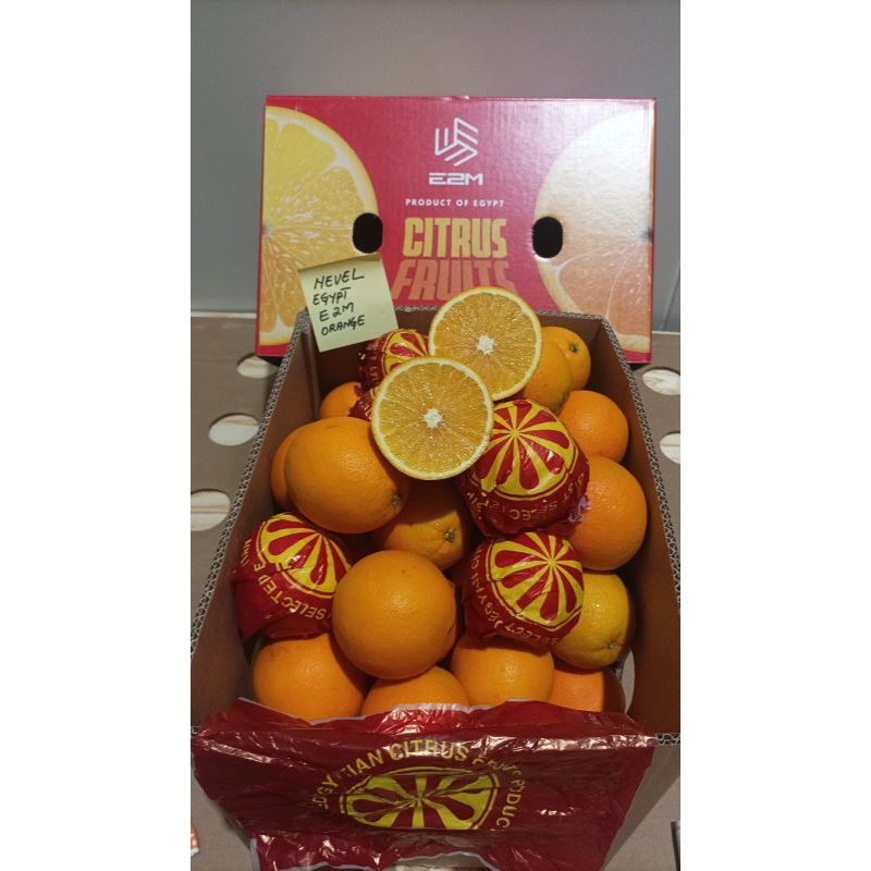 

Jeruk Sunkist Navel Mesir (KG)