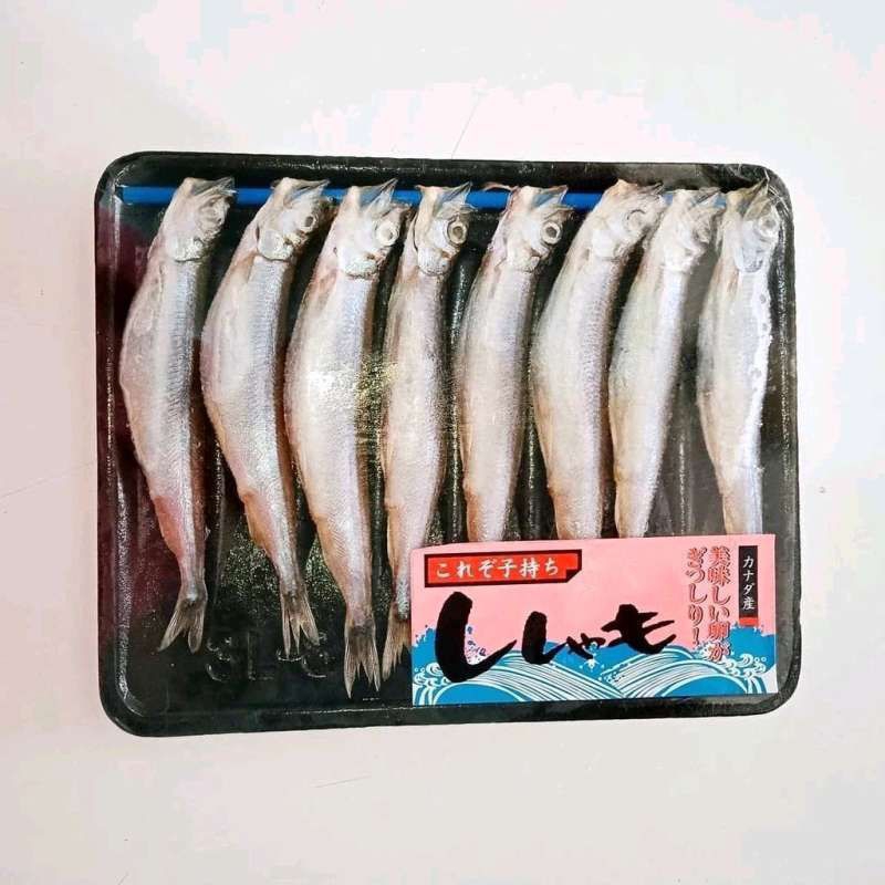 

Ikan Shishamo Telur