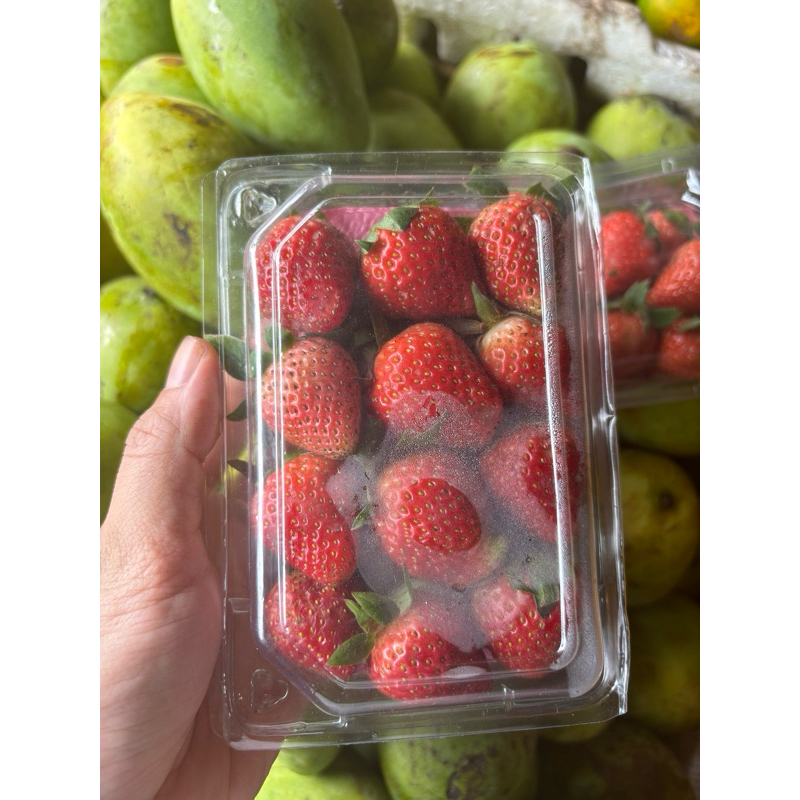 

Buah Strawberry Pack Fresh
