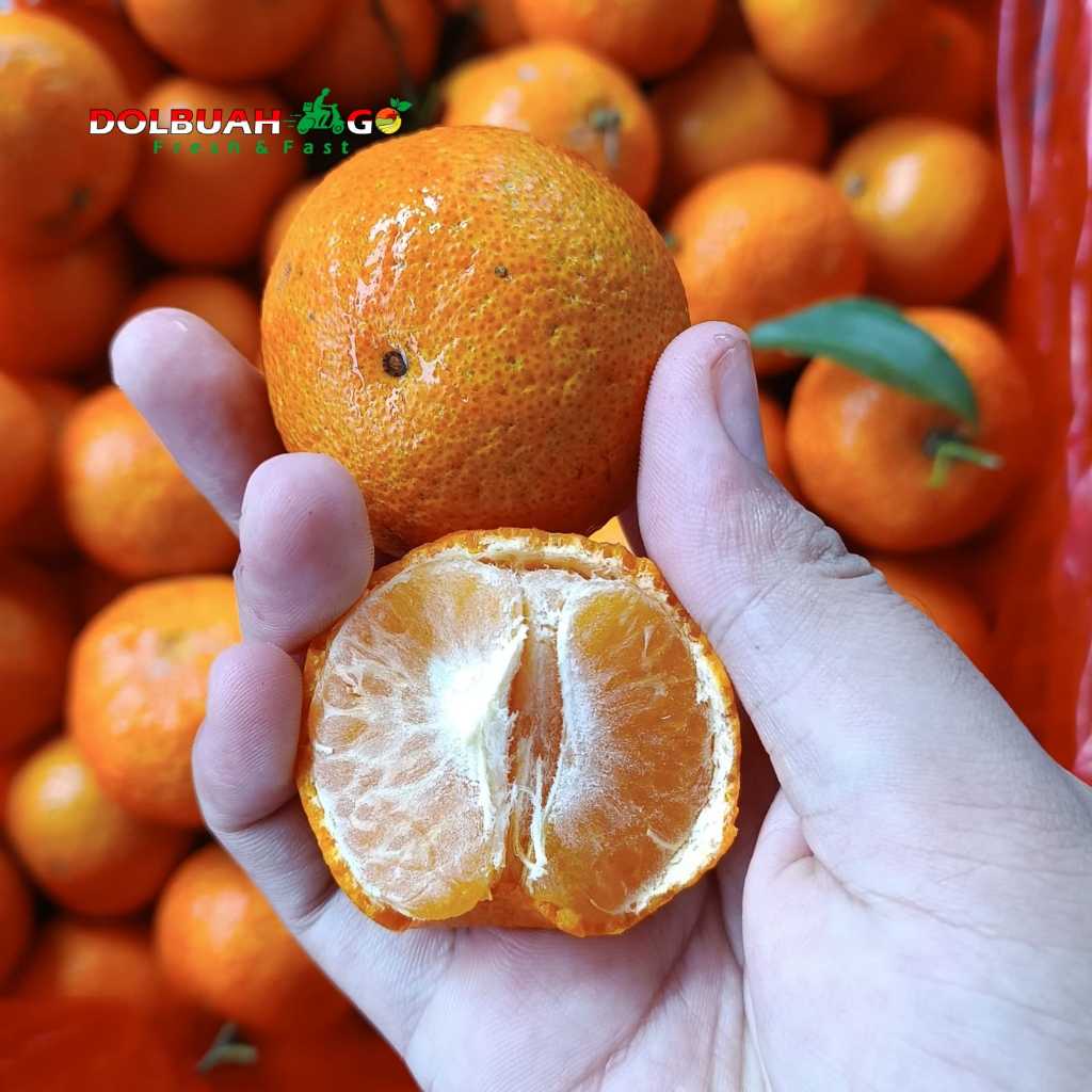 

Jeruk Santang Daun Manis Tanpa Biji - Dolbuah