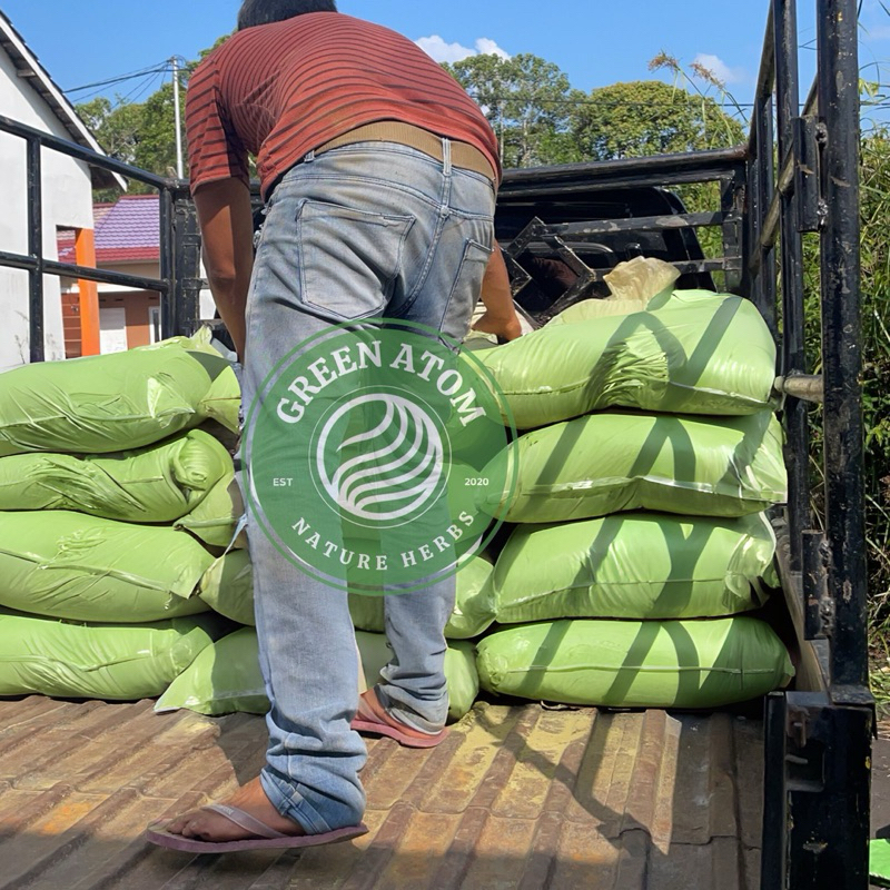 

GREEN ATOM - Serbuk Purli daun purlik hijau bubuk keraton borneo S Kalimantan 1kg Bonus 150grr