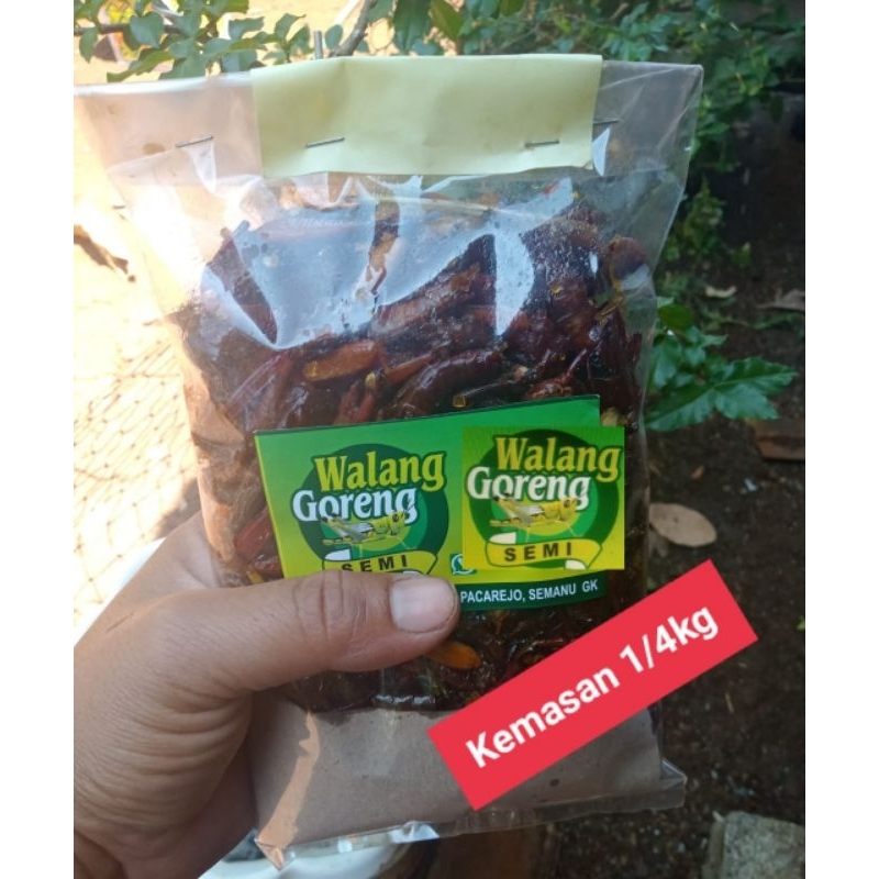 

belalang goreng belalang goreng besar belalang pedas gurih belalang pedas manis belalang pedas gurih belalang gurih belalang murah belalang goreng terjangkau Walang Goreng Semi Kemasan 1/4kg(250gram) di timbang setelah matang