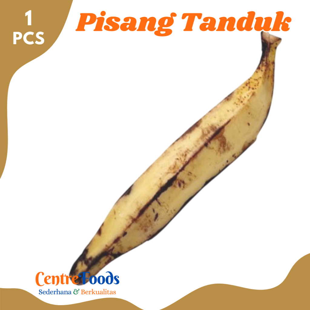 

PISANG Tanduk - Buah Pisang Tanduk Agung Fresh | 1 BUAH [ Harga Per PCS ]