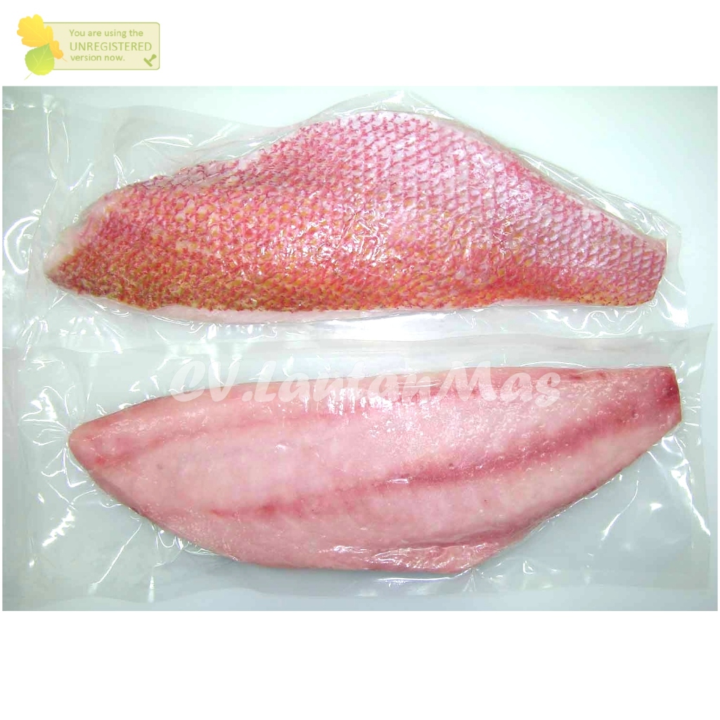 

Ikan Kakap Merah Segar 1Kg Ikan Kakap Merah Fillet Daging Ikan Kakap Merah