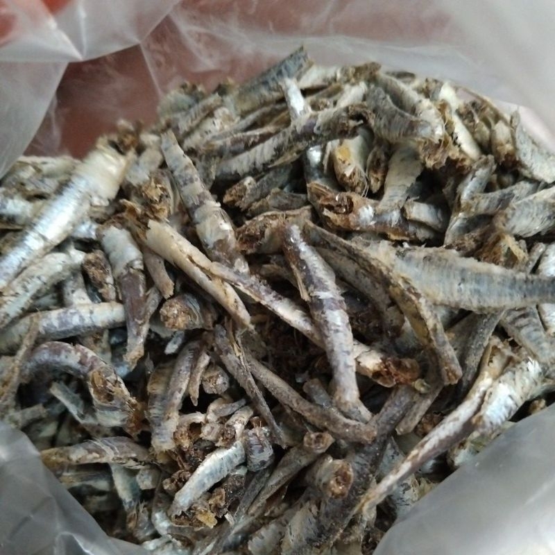 

bilis tanjung pinang + admin