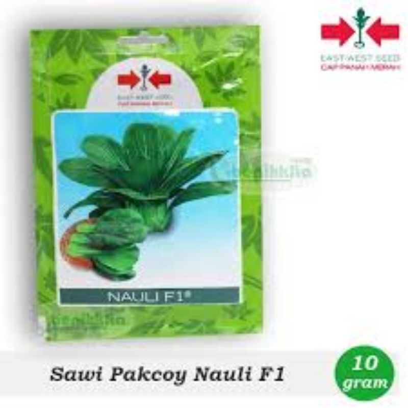 Benih Pakcoy NAULI F1 (1500 Biji)