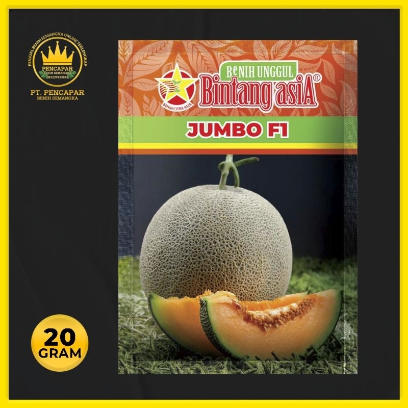 BENIH MELON JUMBO F1 - BINTANG ASIA - 20gram