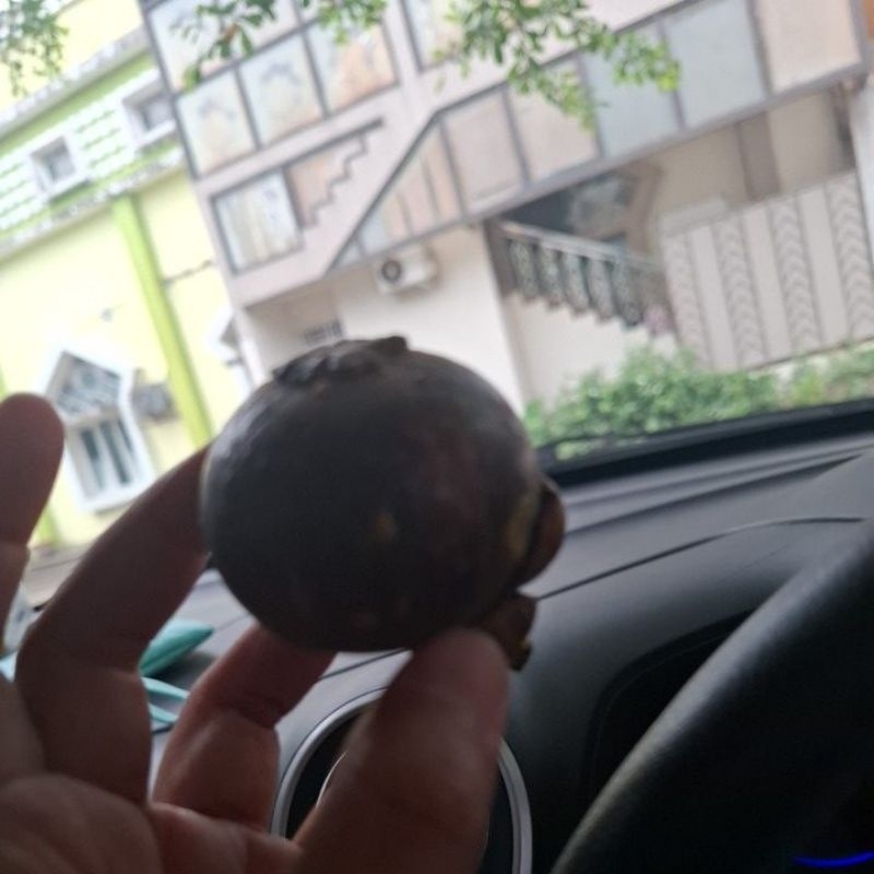 

link Buah buat Kak Fely