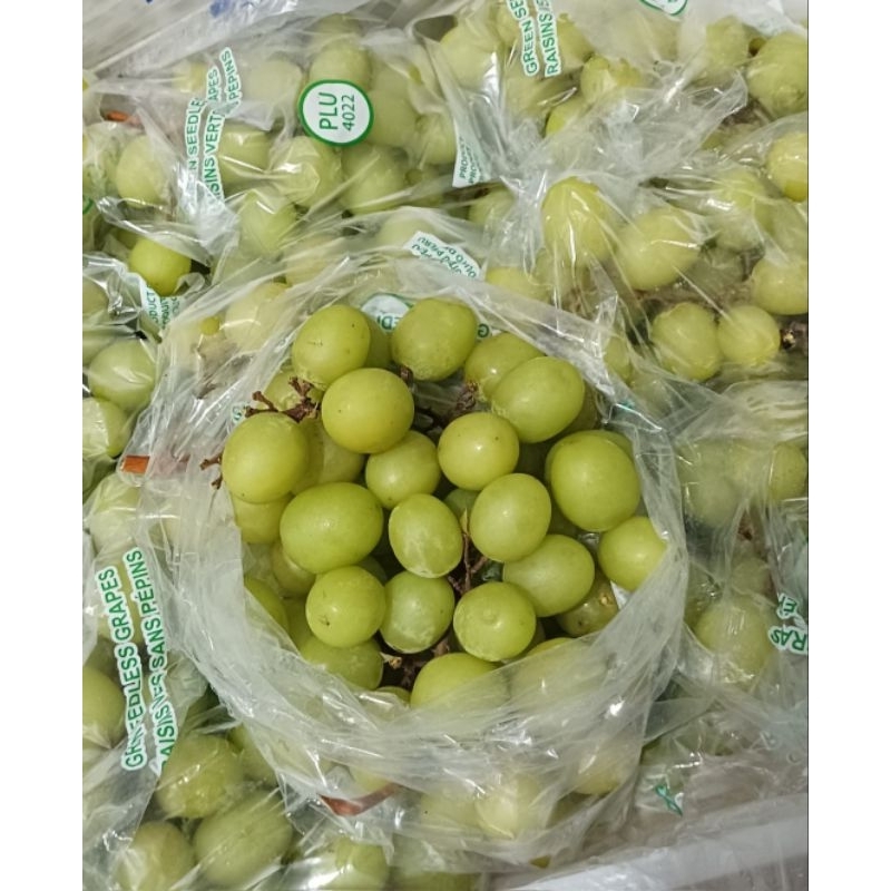 

Anggur Hijau Autumn crisp Peru 7 kg
