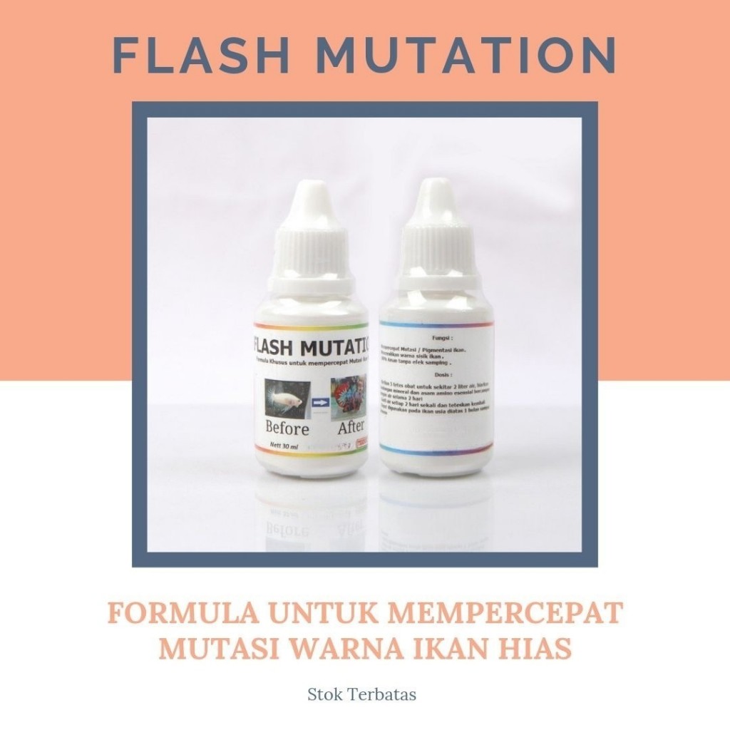 FLASH MUTATION Obat Cepat Mutasi & Full blok warna cerah ikan Cupang