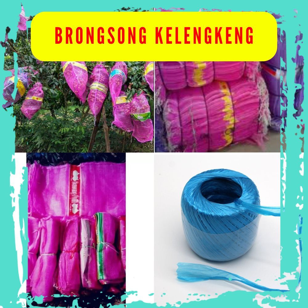PROMO Brongsong Lengkeng Dengan Tali isi 10pcs, Waring Buah Kelengkeng, Karung Buah Kelengkeng