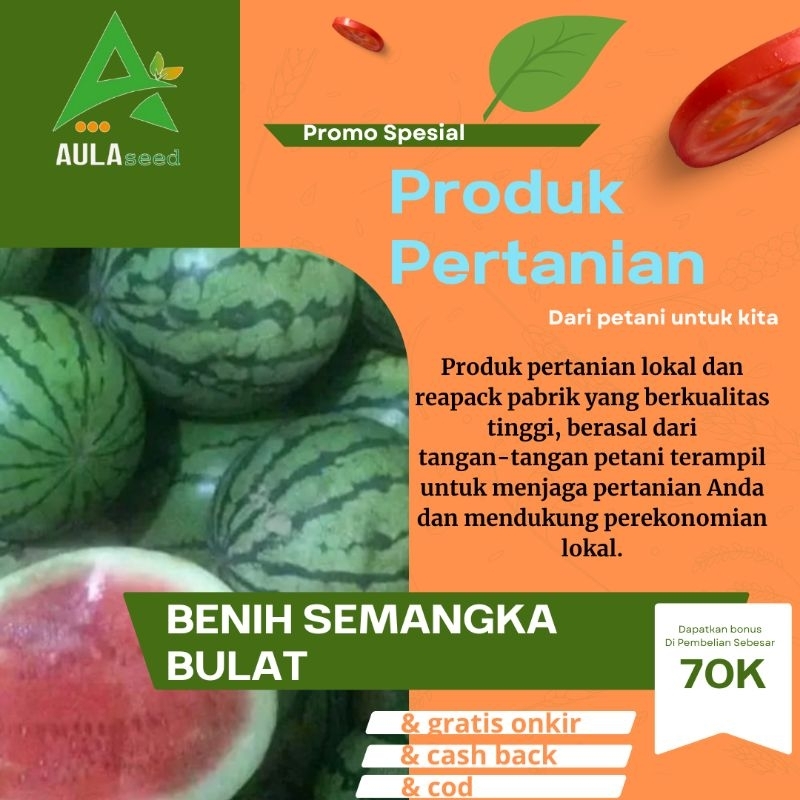 benih semangka bulat 50 butir