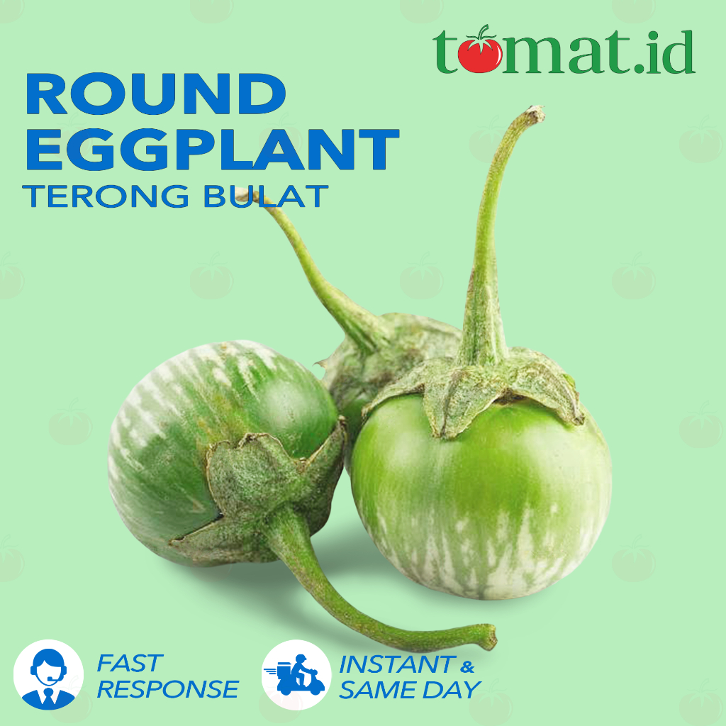 

Terong Bulat Hijau