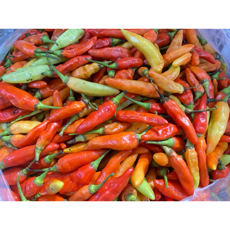 

CABE RAWIT MERAH ORI 250 gr