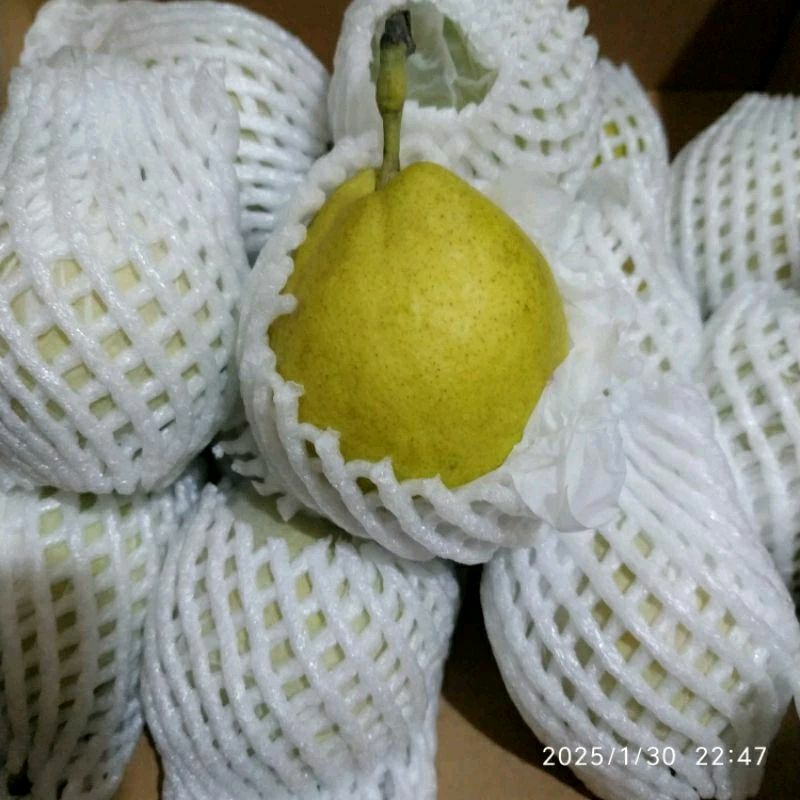 

pear xianglie 1kg