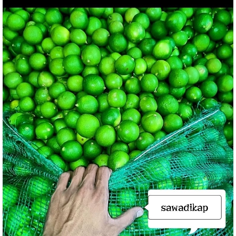 

jeruk nipis fress dari petani langsung