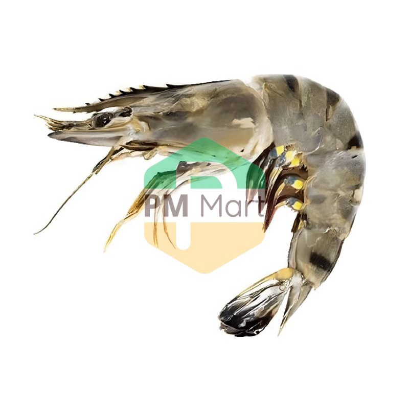 

Udang Segar Kecil Sedang Besar 250 Gram