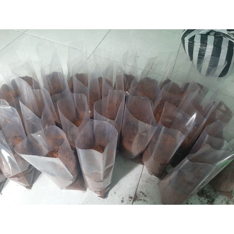 

kopi bubuk murni robusta