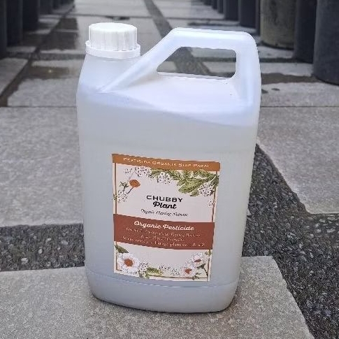 Chubby Plant pupuk cair (siap pakai) nutrisi PESTISIDA tanaman hias sayur booster grow pertumbuhan s