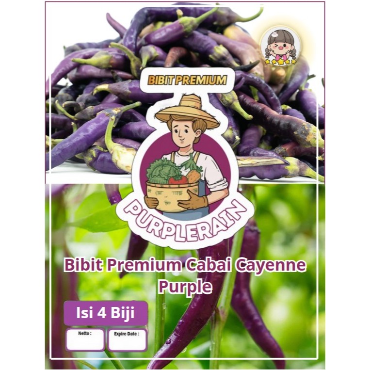 Bibit Premium Cabe Cayenne Purple |Benih Cabe Cayenne Ungu|Bibit Cabe Ungu