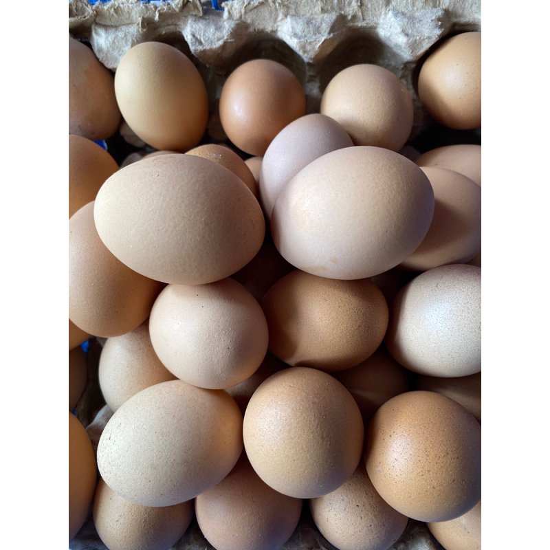 

Telur Ayam per 5 butir