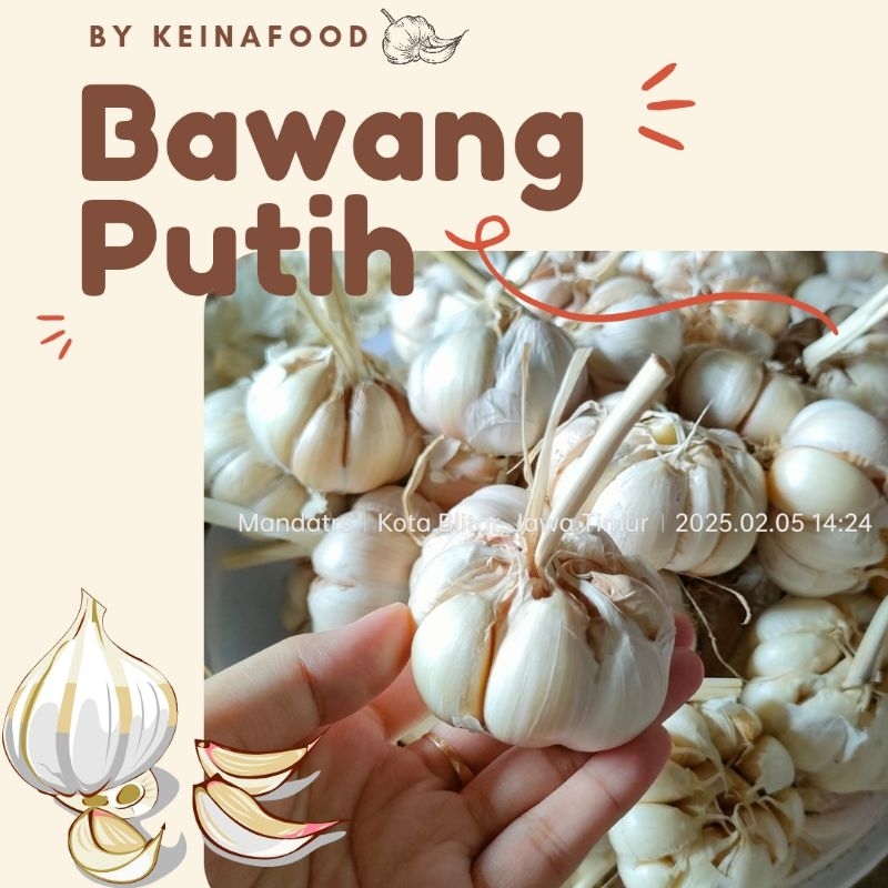 

Bawang Putih Bersih 500g dan 1kg