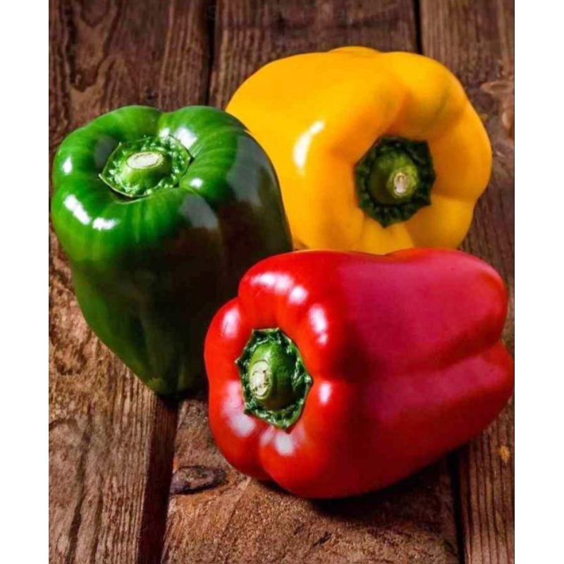 

INSTAN - PAPRIKA MERAH / PAPRIKA KUNING / PAPRIKA HIJAU 1BUAH +/- 200GRAM - FRESH BERKUALITAS
